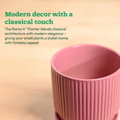 Roma Ceramic Pot