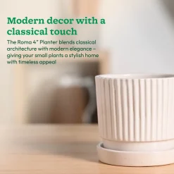Roma Ceramic Pot