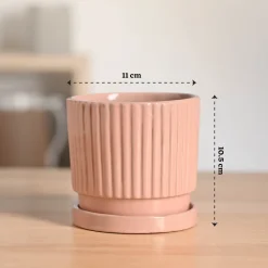 Roma Ceramic Pot