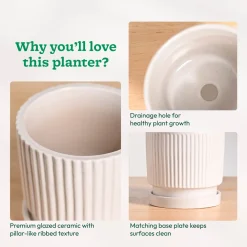 Roma Ceramic Pot