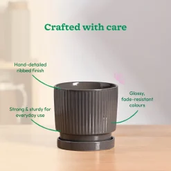 Roma Ceramic Pot