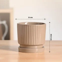 Roma Ceramic Pot