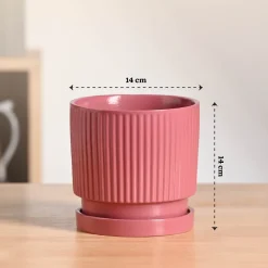 Roma Ceramic Pot