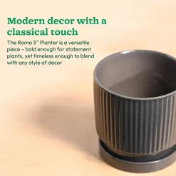 Roma Ceramic Pot