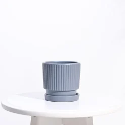 Roma Ceramic Pot
