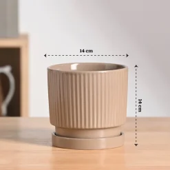 Roma Ceramic Pot