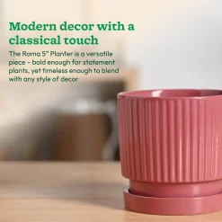 Roma Ceramic Pot
