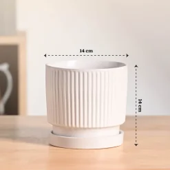 Roma Ceramic Pot