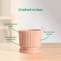 Roma Ceramic Pot