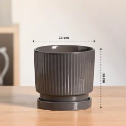 Roma Ceramic Pot