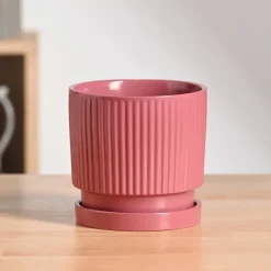 Roma Ceramic Pot