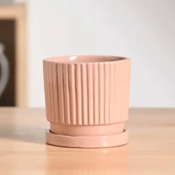 Roma Ceramic Pot