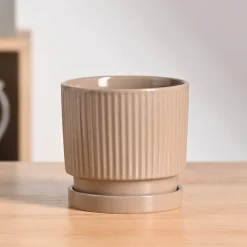 Roma Ceramic Pot