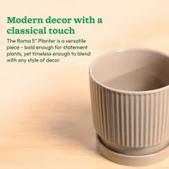 Roma Ceramic Pot