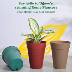 Rome Plastic Planter