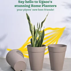 Rome Plastic Planter