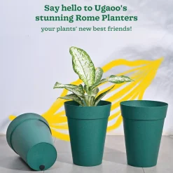 Rome Plastic Planter