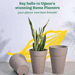 Rome Plastic Planter