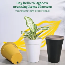 Rome Plastic Planter