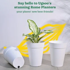 Rome Plastic Planter