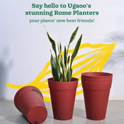 Rome Plastic Planter