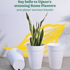 Rome Plastic Planter