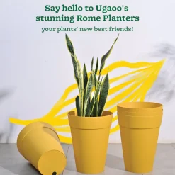 Rome Plastic Planter