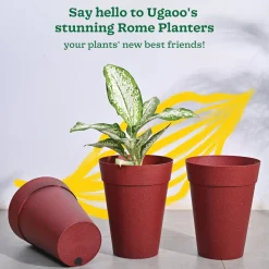 Rome Plastic Planter