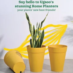 Rome Plastic Planter