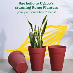 Rome Plastic Planter