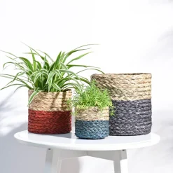 Sabai Grass Planter