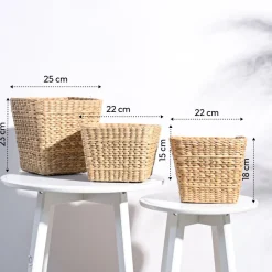 Seagrass Planter
