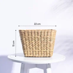 Seagrass Planter