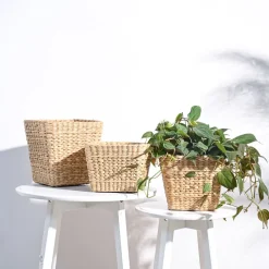 Seagrass Planter