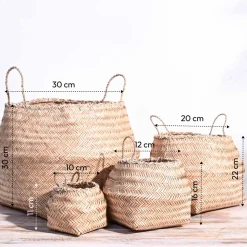 Sitalpati Planter