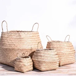 Sitalpati Planter
