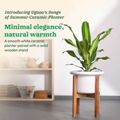 Songs of Summer Ceramic Planter