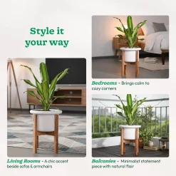 Songs of Summer Ceramic Planter