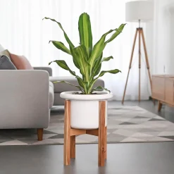 Songs of Summer Ceramic Planter
