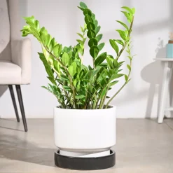 Soothing Rains Ceramic Planters