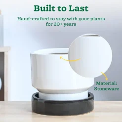 Soothing Rains Ceramic Planters