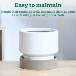 Soothing Rains Ceramic Planters