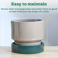 Soothing Rains Ceramic Planters