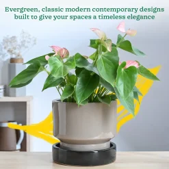 Soothing Rains Ceramic Planters