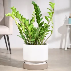 Soothing Rains Ceramic Planters