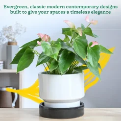 Soothing Rains Ceramic Planters