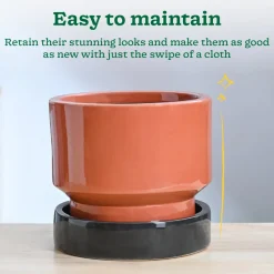 Soothing Rains Ceramic Planters