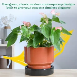 Soothing Rains Ceramic Planters