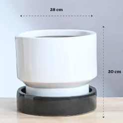 Soothing Rains Ceramic Planters