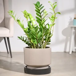 Soothing Rains Ceramic Planters